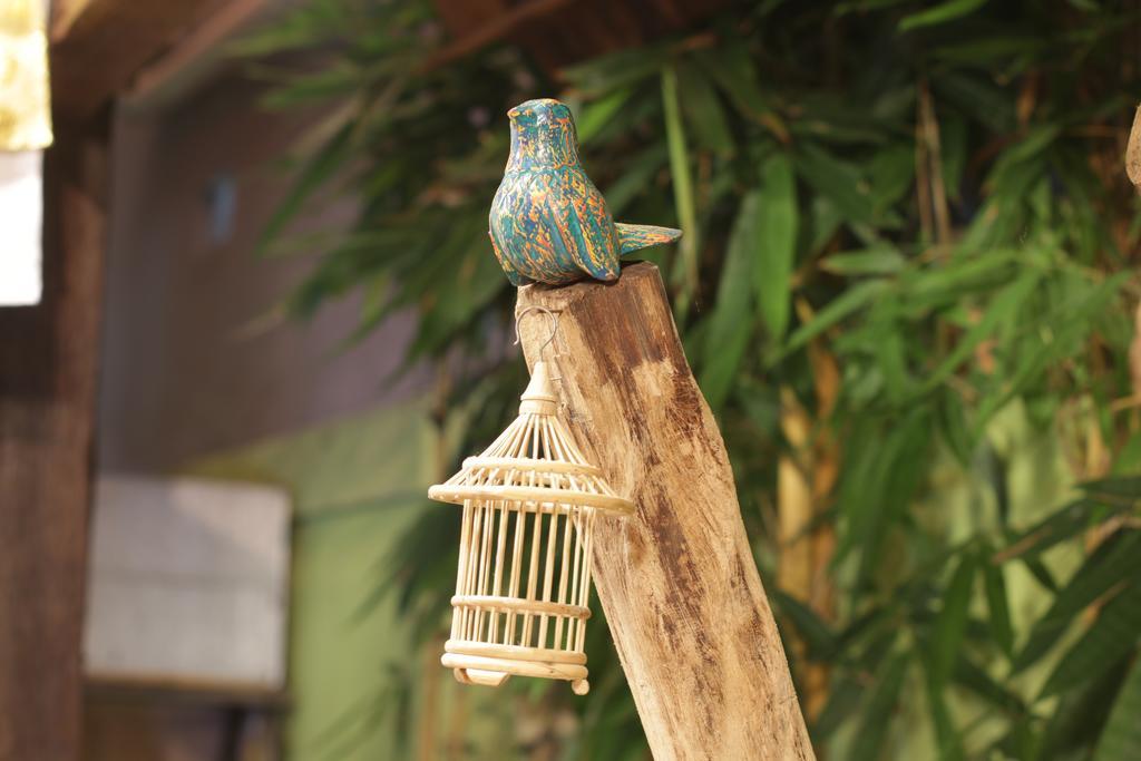 Green Bird Villa - Chse Certified Ubud  Ngoại thất bức ảnh